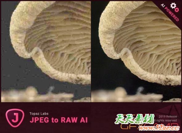 JPG图片转RAW格式软件 Topaz JPEG to RAW AI v2.2.1 Win/Mac破解版-天天素材网
