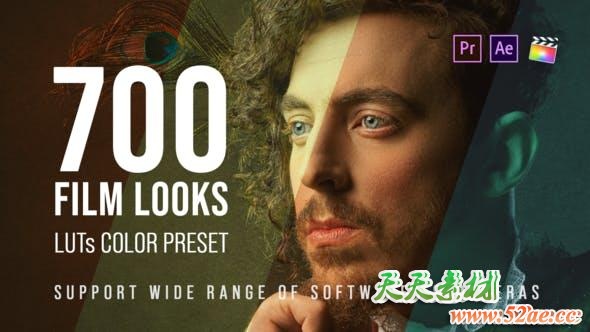 700个LUTs商业广告电影户外风景室内生活婚礼音乐MV时装肖像人物视频调色预设 (FCPX/PR/PS/AE/达芬奇/OFX)-天天素材网