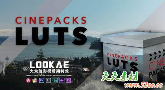 30个定制高质量电影婚礼纪录片视频LUTS调色预设 CinePacks LUTS-天天素材网