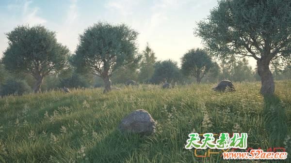 C4D植物树木草地石头生成制作插件 3DQUAKERS – Forester v1.4.9 For Cinema 4D R23 Win破解版 + Expansion Pack v1.1.9 预设包-天天素材网