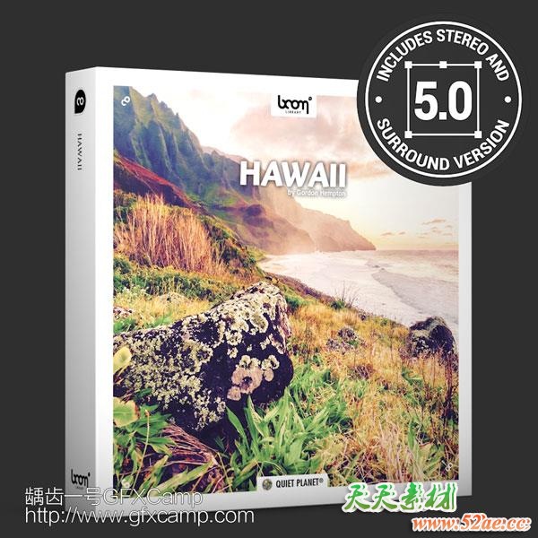 夏威夷岛海岸大自然环境虫鸣鸟叫环绕立体无损音效-天天素材网