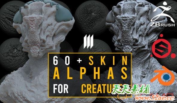 60组外星生物皮肤深度贴图素材 Artstation – 60 Skin Alphas For Creatures Zbrush/Substance Painter/Blender-天天素材网