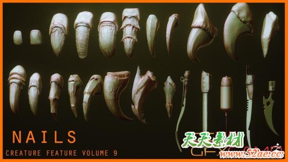 ZBrush动物爪子3D模型预设 Artstation – NAILS – 24 Character & Creature Claws & Nails-天天素材网