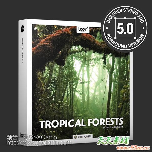 大自然南美洲热带雨林虫鸣鸟叫立体环绕无损音效-天天素材网