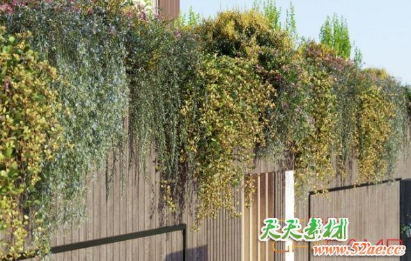 藤蔓植物3D模型 Globe Plants – Bundle 02 – Vines And Creepers (3DS MAX格式)-天天素材网