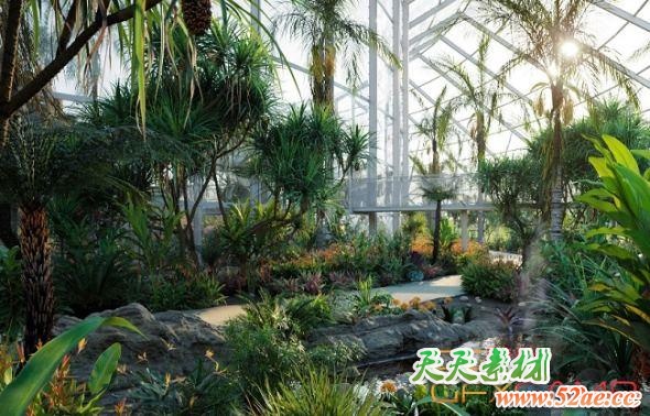 花园植物3D模型 Globe Plants – Bundle 14 – Tropical Garden 02 (3DS MAX格式)-天天素材网