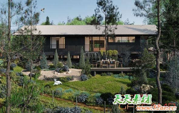 植物树木针叶树3D模型 Globe Plants – Bundle 10 Conifer Garden (3DS MAX格式)-天天素材网