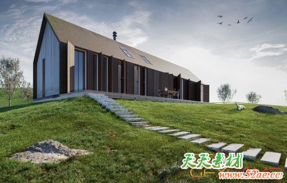 草坪3D模型 Globe Plants – Bundle 13 Grass & Lawn (3DS MAX格式)-天天素材网