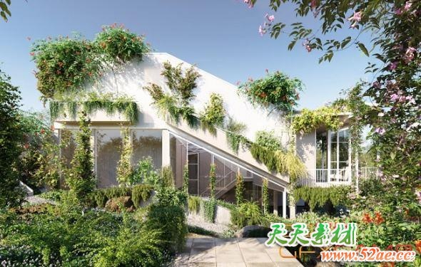 藤蔓爬山虎植物3D模型 Globe Plants – Bundle 23 Vines and Creepers 03 (3DS MAX格式)-天天素材网