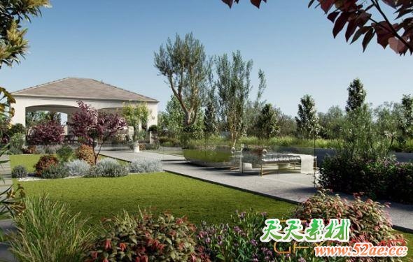 花园植物3D模型 Globe Plants – Bundle 03 – Garden Plants (3DS MAX格式)-天天素材网