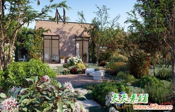 花园灌木树木植物3D模型 Globe Plants – Bundle 04 – Garden Plants 02 (3DS MAX格式)-天天素材网