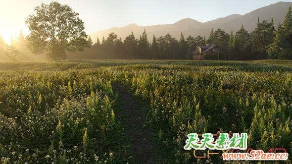 草植物3D模型 Evermotion – Archmodels Vol. 226 (3DS MAX格式)-天天素材网