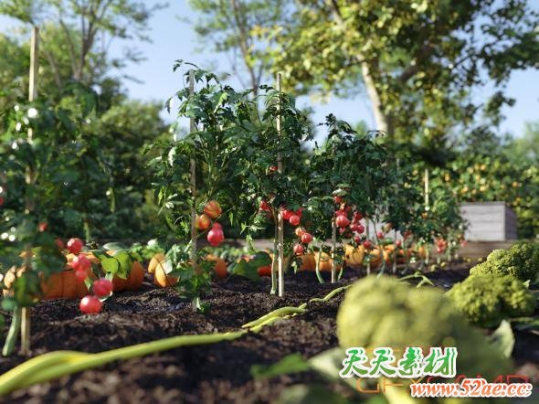 蔬菜植物3D模型(3DS MAX格式) Nouvelle Mesure Lab – Bio Vegetables Pack-天天素材网