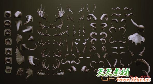 ZBrush动物角笔刷模型预设 Artstation Marketplace – HORNS – 60 Horns, Antlers, Frills & Horn Sockets IMM + VDM-天天素材网