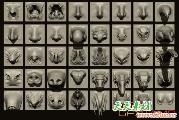 ZBrush动物鼻子笔刷模型预设 Artstation Marketplace – NOSES – 40 ZBrush VDM Nasal Areas-天天素材网
