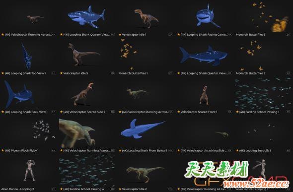 恐龙鲸鸟类蛇动物带通道4K视频素材 Production Crate – Animals & Creatures-天天素材网