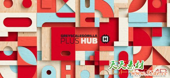 GSG插件套装合集 GreyscaleGorilla Plus Hub Plugins for Cinema 4D S22-R25 Win/Mac破解版 (Light Kit Pro/Signal/Light Types/GorillaCam/Cyc Types)-天天素材网