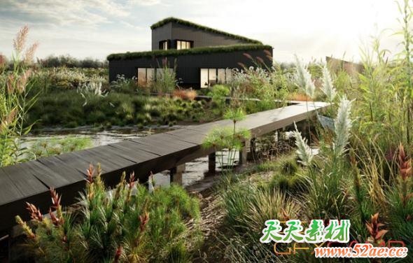 植物草3D模型 Globe Plants – Bundle 26 – Ornamental Grasses 02 (3DS MAX格式)-天天素材网