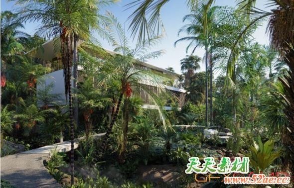 棕榈树植物3D模型 Globe Plants – Bundle 15 – Palm World (3DS MAX格式)-天天素材网