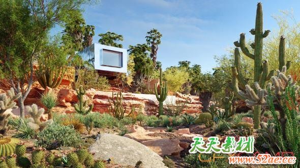 仙人掌墨西哥植物3D模型 GlobePlants – Bundle 34 Mexican Plants (3DS MAX格式)-天天素材网