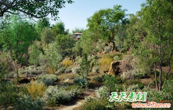 温带植物树木3D模型 Globe Plants – Bundle 19 – Temperate Plants (3DS MAX格式)-天天素材网