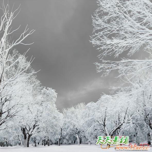 冬天树木植物3D模型 Cghelios – HeliosVegetation Vol.11-天天素材网