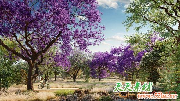 大洋洲树木植物3D模型 Globe Plants – Bundle 08 – Oceania Trees (3DS MAX格式)-天天素材网