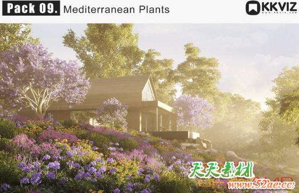 植物树木花朵3D模型 KKVIZ – Pack 09 – Mediterranean Plants (MAX格式)-天天素材网