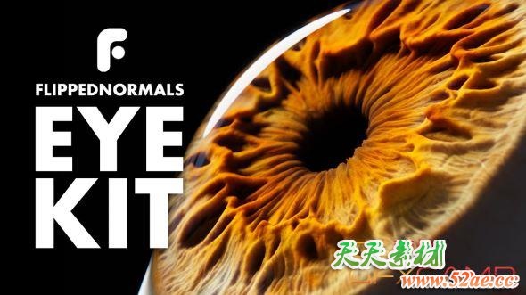 真实眼睛模型预设工具包 FlippedNormals – Eye Kit-天天素材网