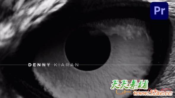 PR预设-信号损坏撕裂文字标题字幕片头 Glitch Opening Titles for Premiere Pro-天天素材网