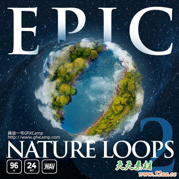 大自然虫鸣鸟叫水流森林环境无损音效-天天素材网