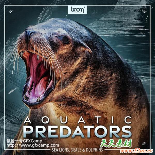 海豹海狮海豚海象无损音效-天天素材网