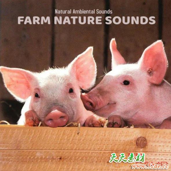 农场家畜环境音效 Sound Effects – Nature Ambient Sounds Farm Nature Sounds-天天素材网