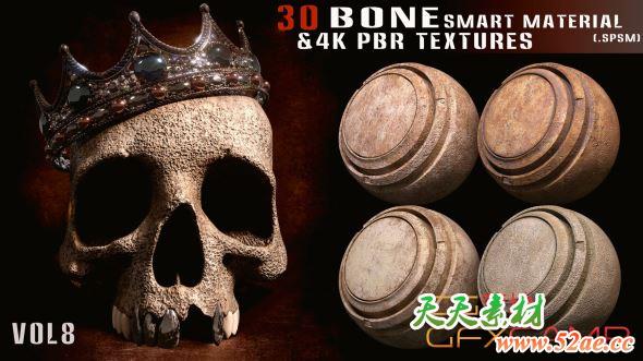 Substance骨头材质预设+贴图素材 ArtStation – 30 Bone Smart Material + 4K PBR Textures – Vol.8-天天素材网