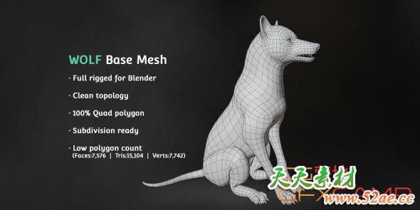 狼狗3D模型 Wolf Base Mesh (Blender/FBX/OBJ格式)-天天素材网