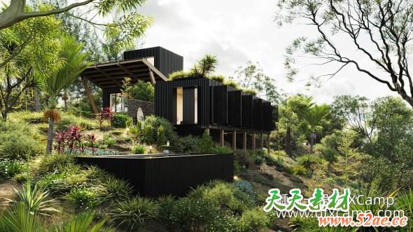 新西兰花园灌木植物3D模型 Globe Plants – Bundle 33 New Zeland Home & Garden Plants (3DS MAX格式)-天天素材网