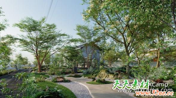 日本庭院植物3D模型 Globe Plants – Bundle 17 – Modern Janapese Garden (3DS MAX格式)-天天素材网