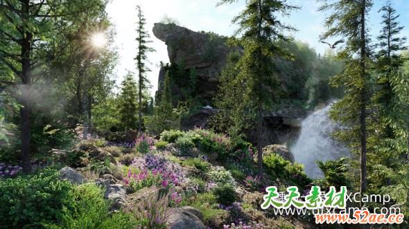 阿拉斯加野外灌木植物3D模型 Globe Plants – Bundle 31 – Alaskan Plants (3DS MAX格式)-天天素材网