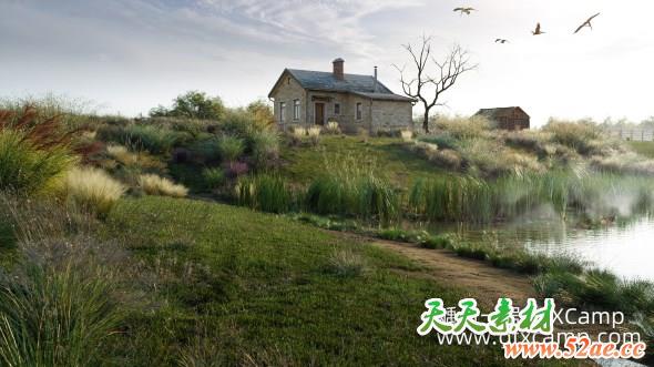 野外杂草植物3D模型 Globe Plants – Bundle 18 – Ornamental Grasses (3DS MAX格式)-天天素材网