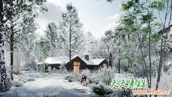 冬天落雪植物3D模型 Globe Plants – Bundle 35 – Winter Plants (3DS MAX格式)-天天素材网