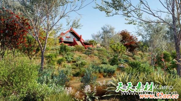 新西兰植物灌木3D模型 Globe Plants – Bundle 21 – New Zeland Plants (3DS MAX格式)-天天素材网