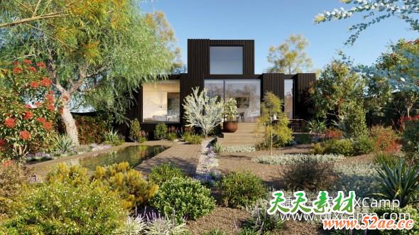 澳大利亚花园植物灌木3D模型 Globe Plants – Bundle 22 – Australian Home & Garden 02 (3DS MAX格式)-天天素材网