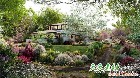 北美花园植物灌木3D模型 Globe Plants – Bundle 27 North American Home & Garden 01 (3DS MAX格式)-天天素材网