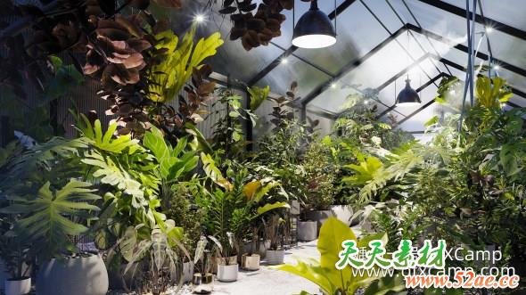 室内盆栽植物3D模型 Globe Plants – Bundle 30 – Interior Pot Plants (3DS MAX格式)-天天素材网
