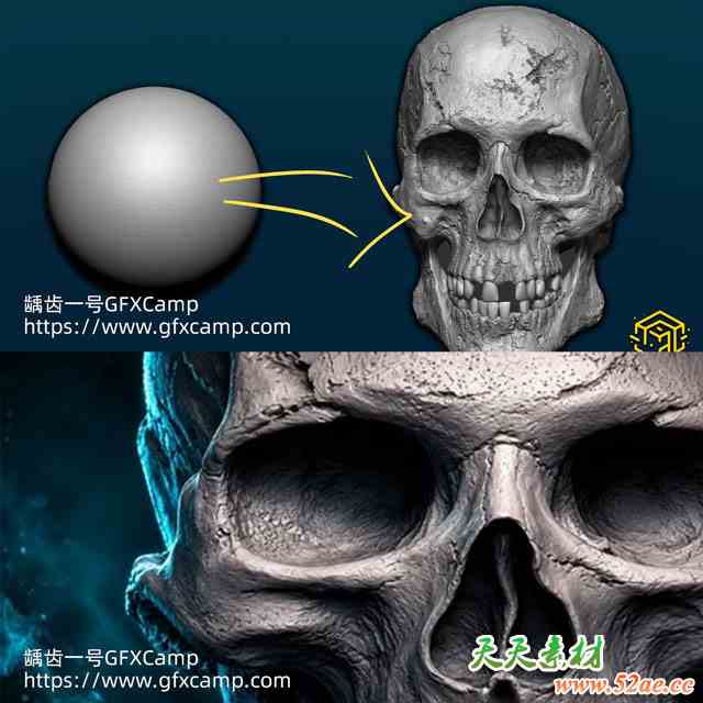 ZBrush头骨雕刻解剖结构基础教程 中文/英文字幕-天天素材网