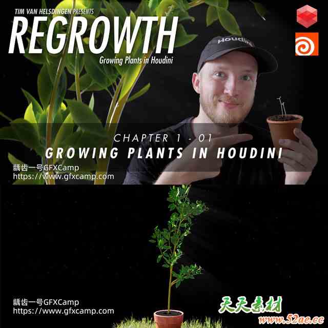 Houdini+Redshift植物生长动画特效教程 中文/英文字幕-天天素材网