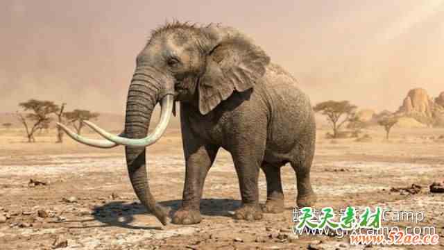 Maya大象行走绑定动画教程 Udemy – How to Animate an Elephant Walk Cycle in Maya-天天素材网