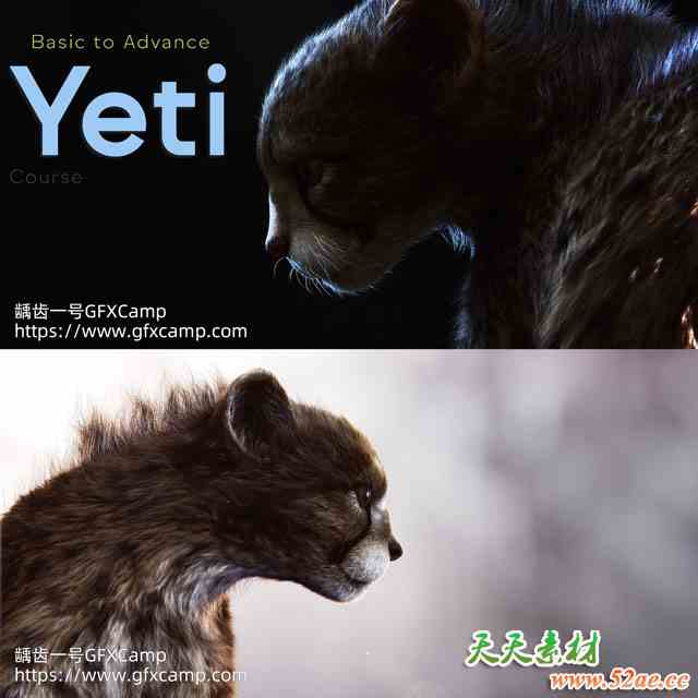 Maya Yeti动物毛发模拟基础进阶教程 中文/英文字幕-天天素材网