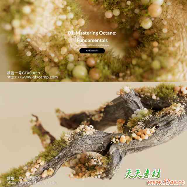 MotionPunk C4D Octane渲染器全面掌握入门基础教程 中文/英文字幕-天天素材网