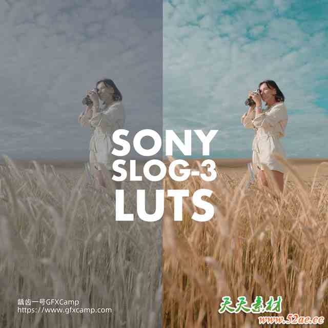 SONY SLOG 3电影风格还原人物肤色LUTs视频调色预设-天天素材网